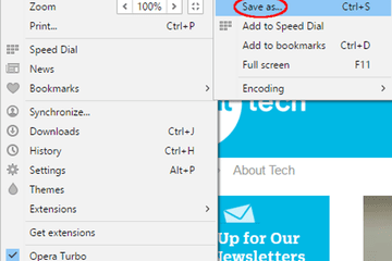 Saving a web page in the Opera browser