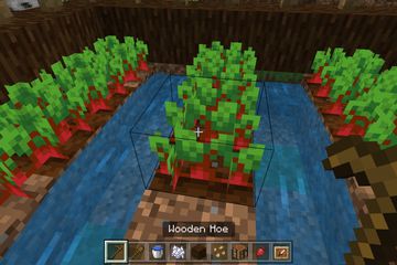 Harvesting Beetroot in a garden with a Wooden Hoe in Minecraft