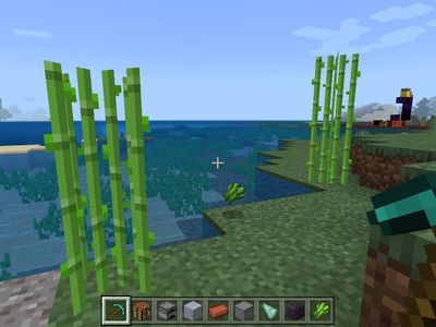 Collecting Sugar Cane in Minecraft