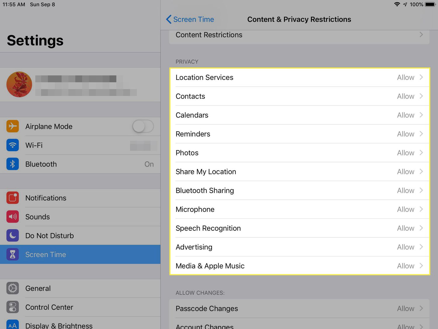 A screenshot of Content & Privacy Restrictions on an iPad with the Privacy section highlighted