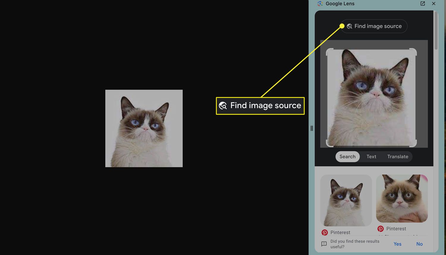 Google Lens Find image source options from Google Chrome.