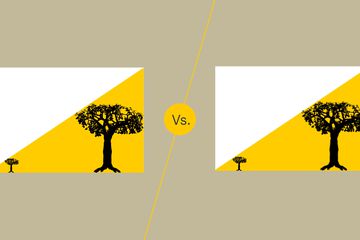 Vector vs Bitmap