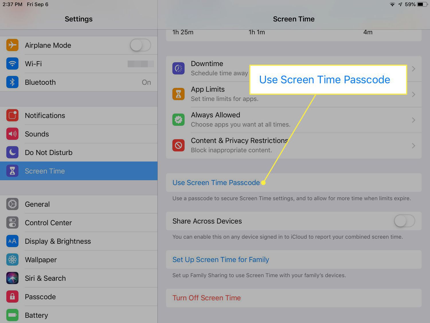 A screenshot of iPad settings with the Use Screen Time Passcode command highlighted