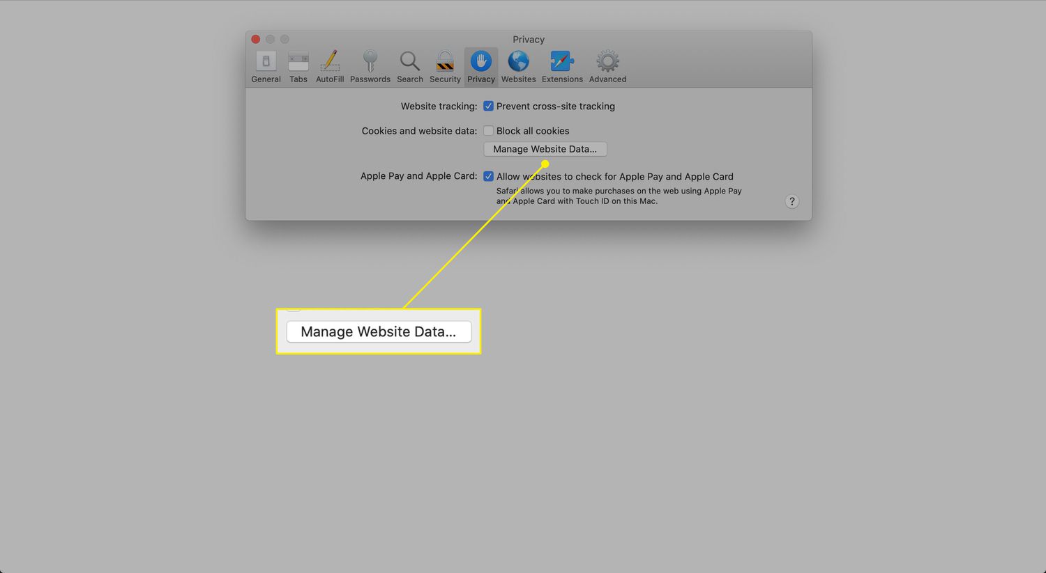 The Manage Website Data button in Safari Privacy preferences