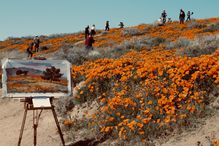 Artist easel with canvas in front of a hill covered with wildflowers and people.