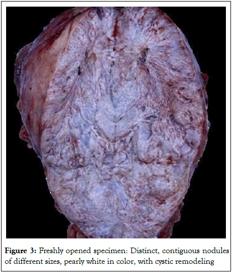 Medical-Pathology