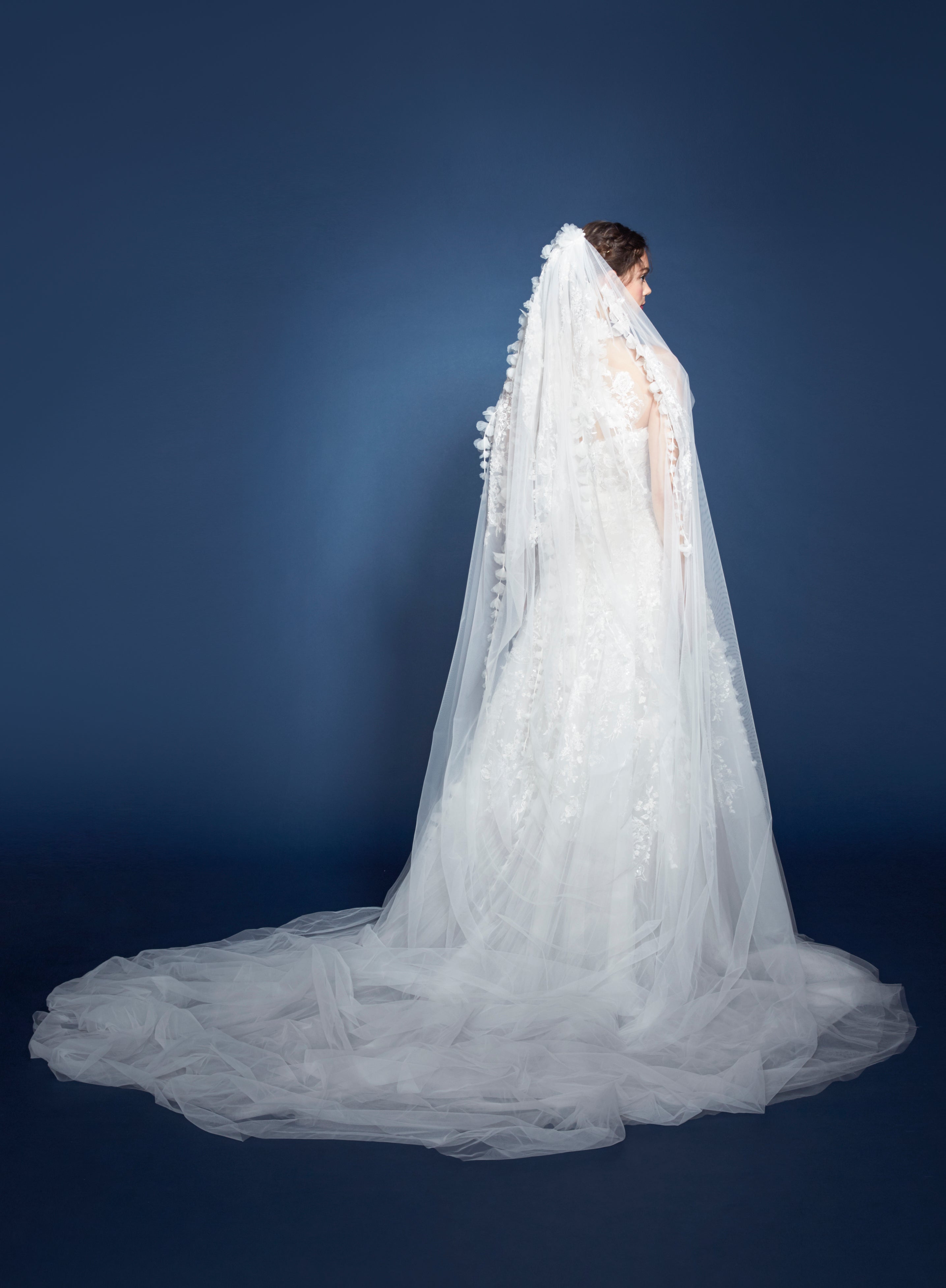 Antonia Veil Marchesa