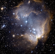 This image taken with NASA's Hubble Space Telescope depicts bright, blue, newly  formed stars that are blowing a cavity in the center of a star-forming region in the  Small Magellanic Cloud. At the heart of the star-forming region, lies star  cluster NGC 602.  The Small Magellanic Cloud, in the constellation Tucana, is roughly 200,000 light-years from the Earth.