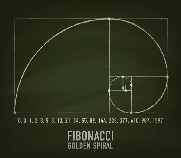 Fibonacci Sequences And Why They Re The Coolest Thing Since Fractions