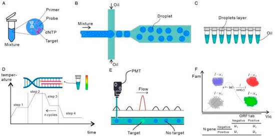 Biosensors | Free Full-Text | Point-of-Care PCR Assays for COVID-19 ...