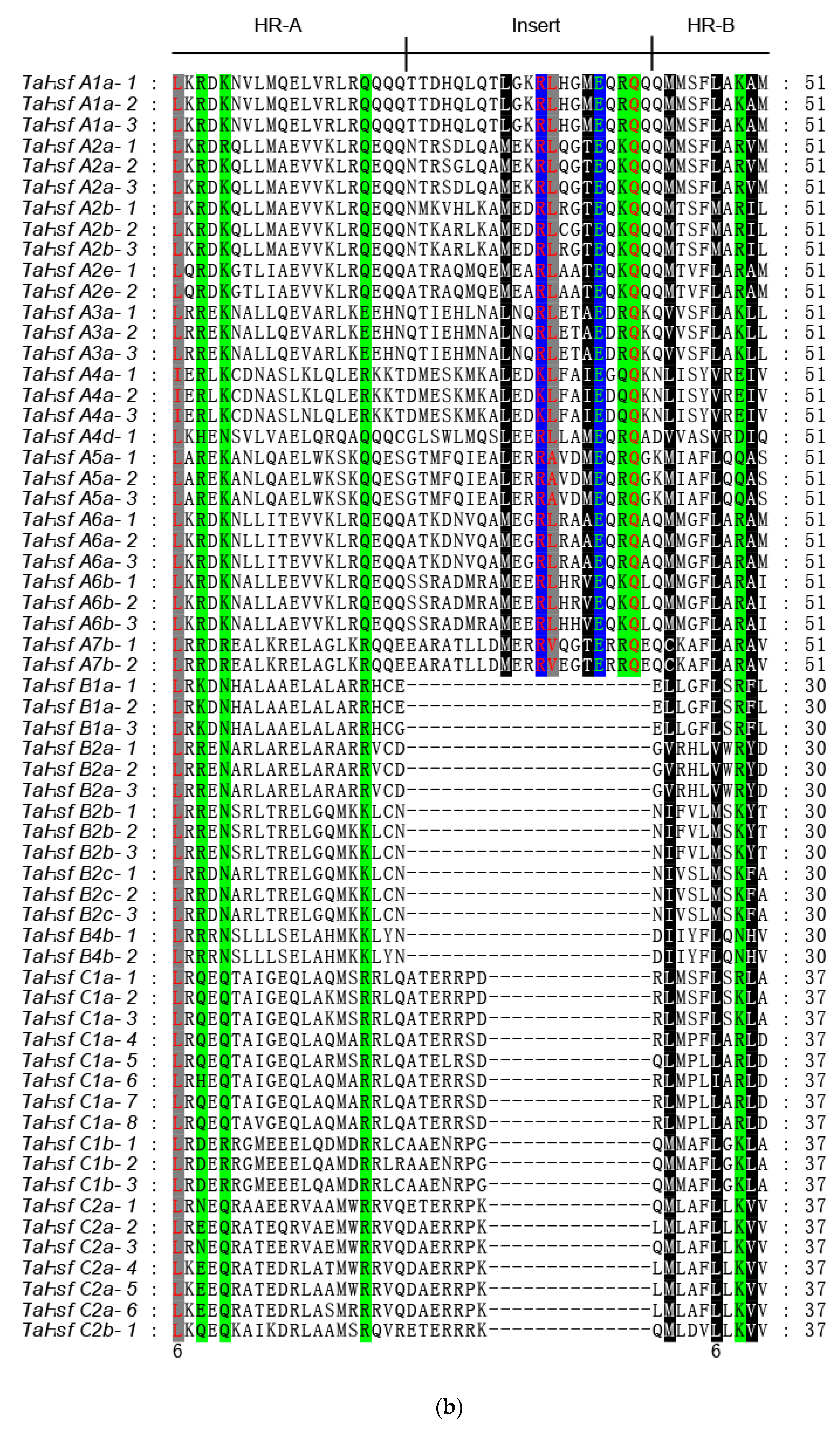 IJMS | Free Full-Text | Genome-Wide Investigation of Heat Shock ...