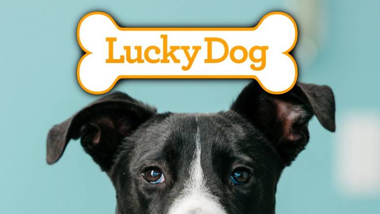 Lucky Dog Key Art