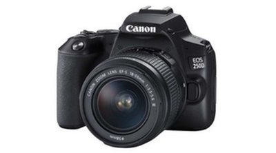 Canon EOS 250D: características y precio de la cámara réflex digital más ligera del mundo