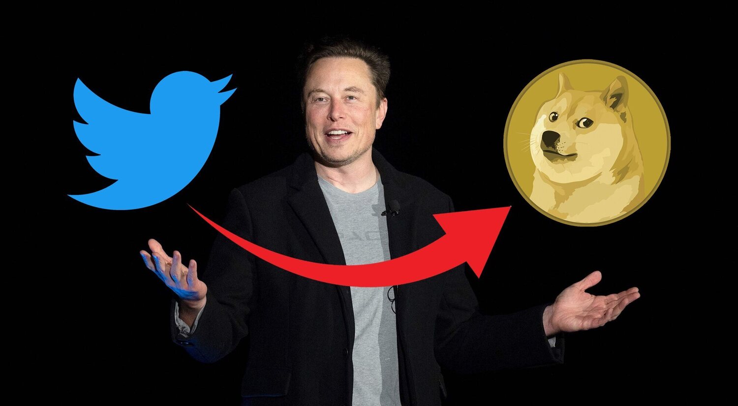 Elon Musk cambia el pájaro de Twitter por el perro de Dogecoin y sube el valor de la criptomoneda