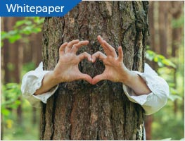 Whitepaper: Mastering sustainability communications