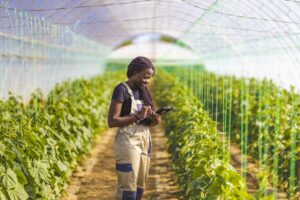 Smiling female farmer using digital tablet at greenhouse