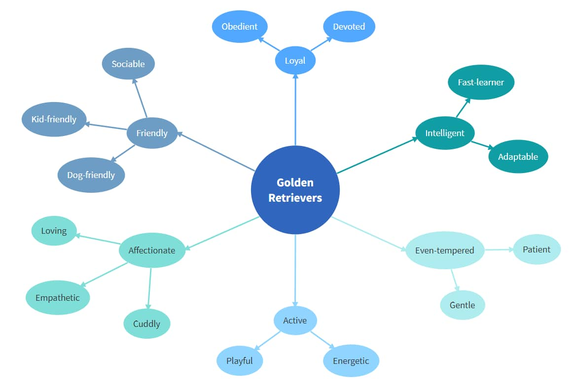 What Is A Double Bubble Map EdrawMax Online, 50% OFF