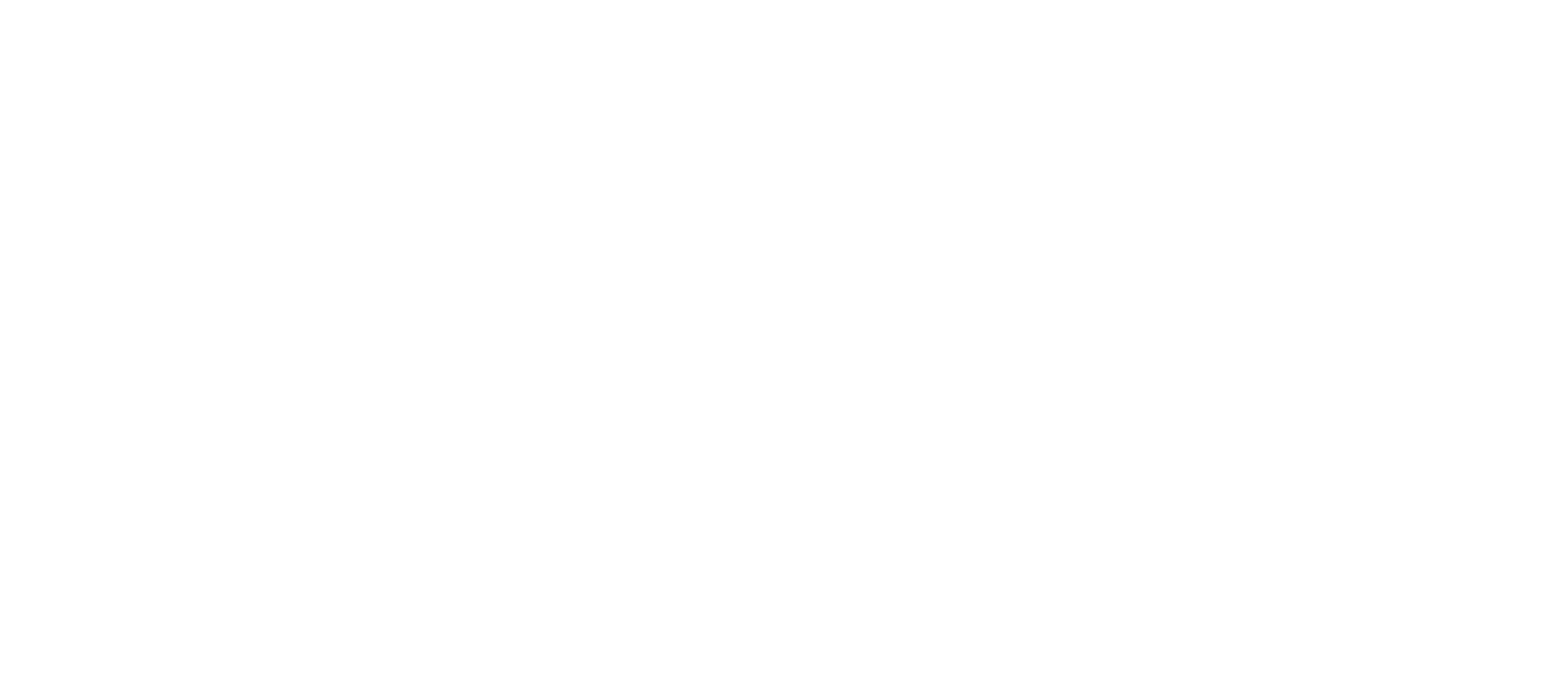 nami logo