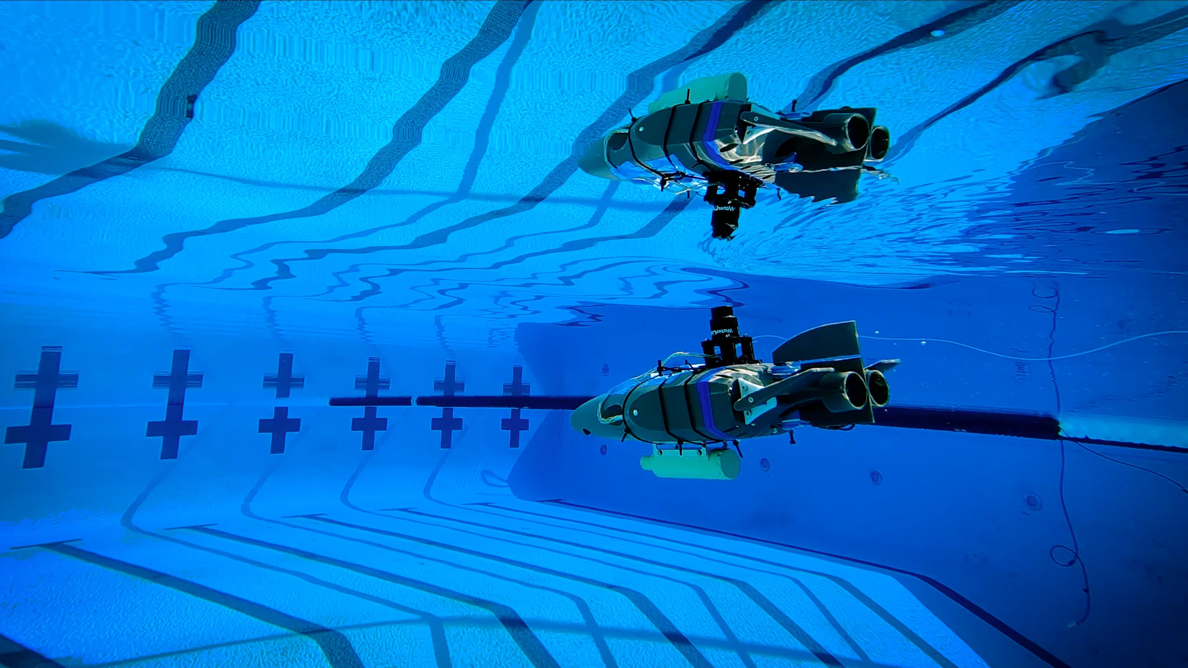 A small gray plastic robot shaped like a wedge (with propellers and flaps for steering) glides through the blue waters of a competition swimming pool.