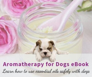 Aromatherapy for Dogs eBook