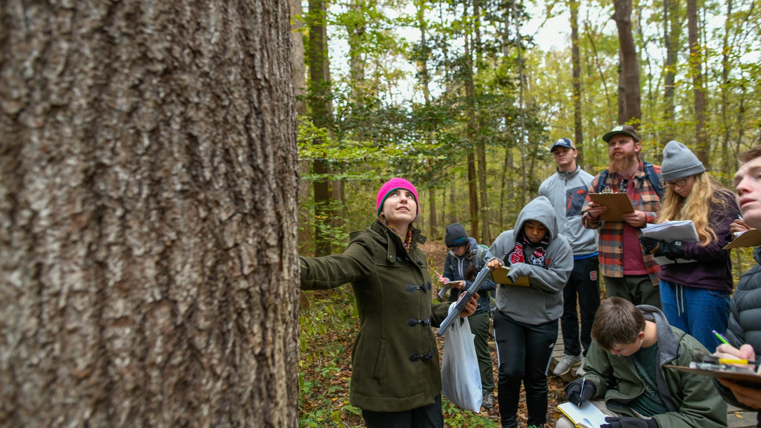 Rachel Jessup, an undergraduate teaching assistant for a Dr. Steph Jeffries' dendrology class, identifies a tree during an outdoor lab.