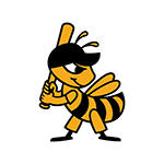 Salt Lake Bees