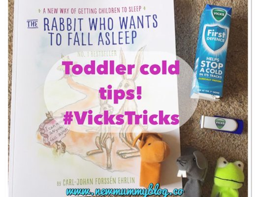 A few #vickstricks survival tips - a few bits and pieces to help- books, finger puppets, Vicks first defence,