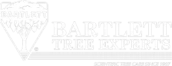 BartlettLogo_white