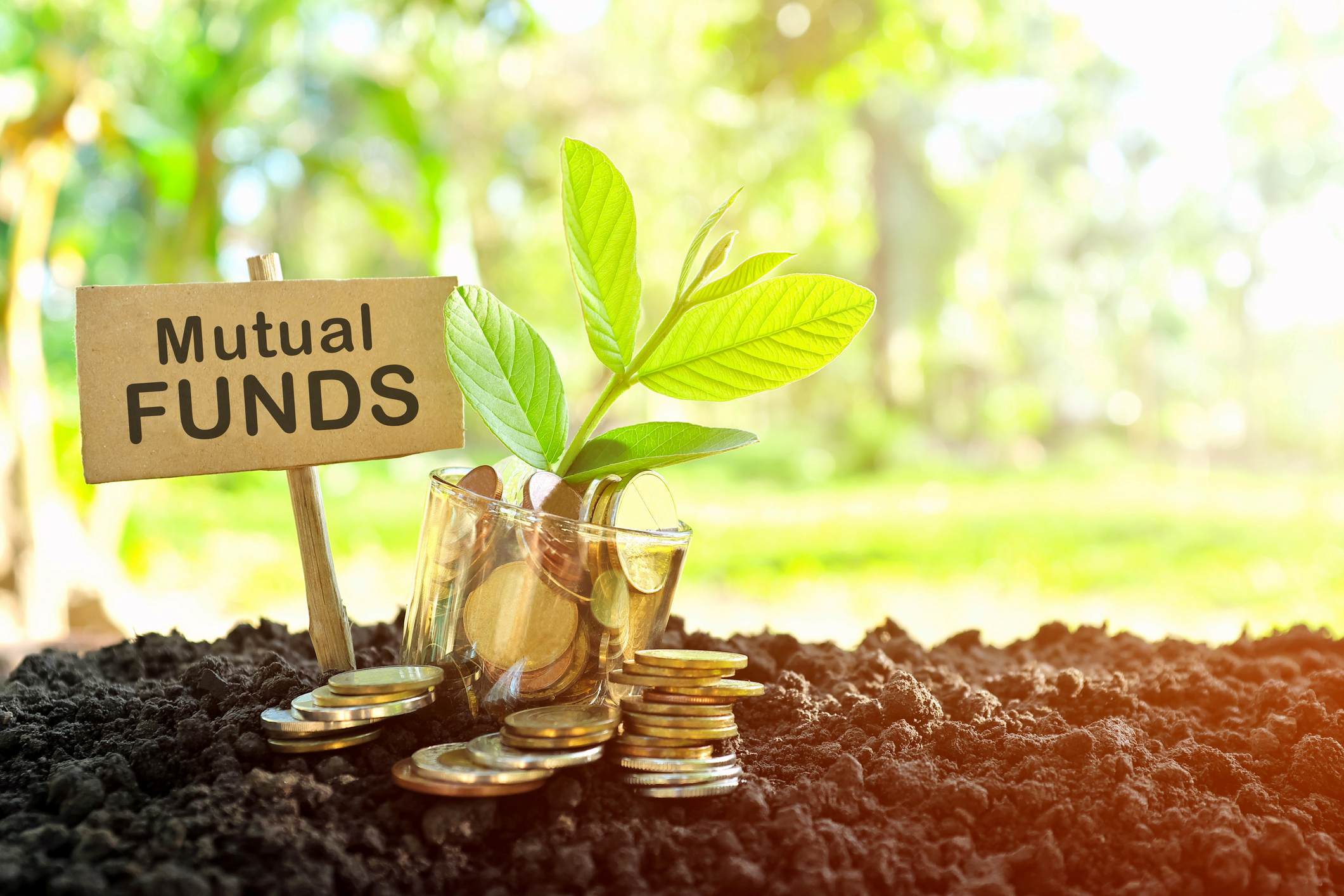 Investment on Mutual Fund concept. Coins in a jar with soil and growing plant in nature background.