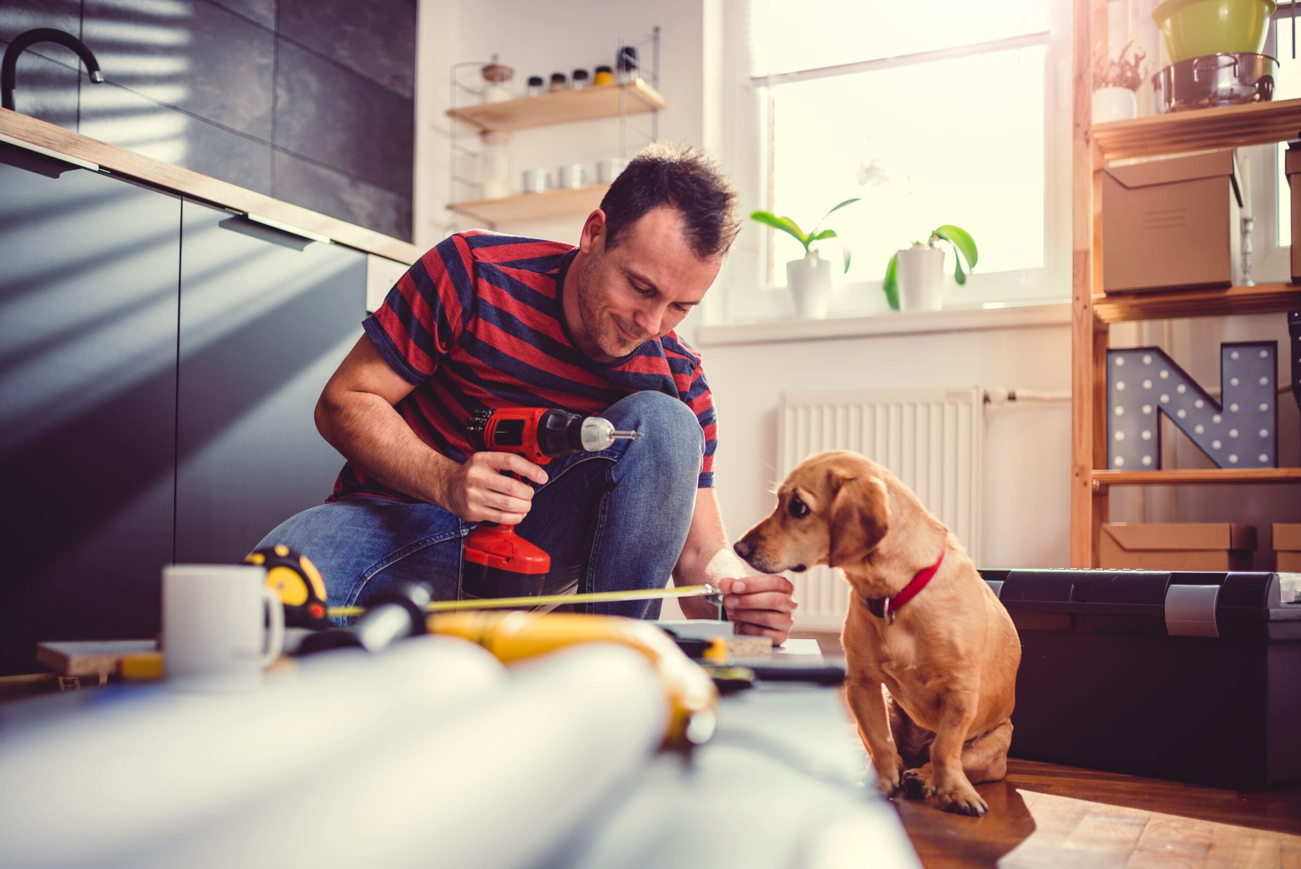 Man with small yellow dog working on a new kitchen installation and using a cordless drill