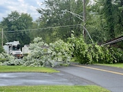 A tree is down across Beach Road in Brewerton after a storm on July 10 2024.