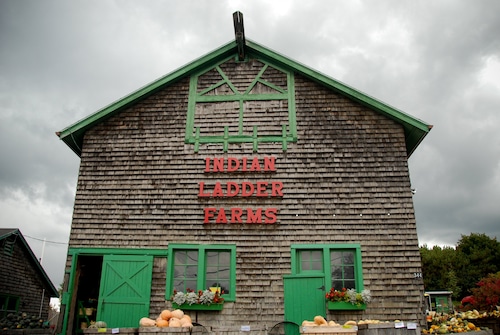 Popular Upstate NY apple orchard suspends cider doughnut season after kitchen fire