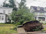 An uprooted oak tree fell on a house just north of downtown Rome on Tuesday afternoon.