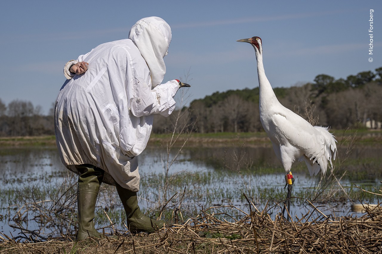 Meeting in the Marsh