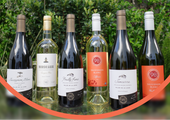 Sauvignon Blancs of the World: France, California, New Zealand