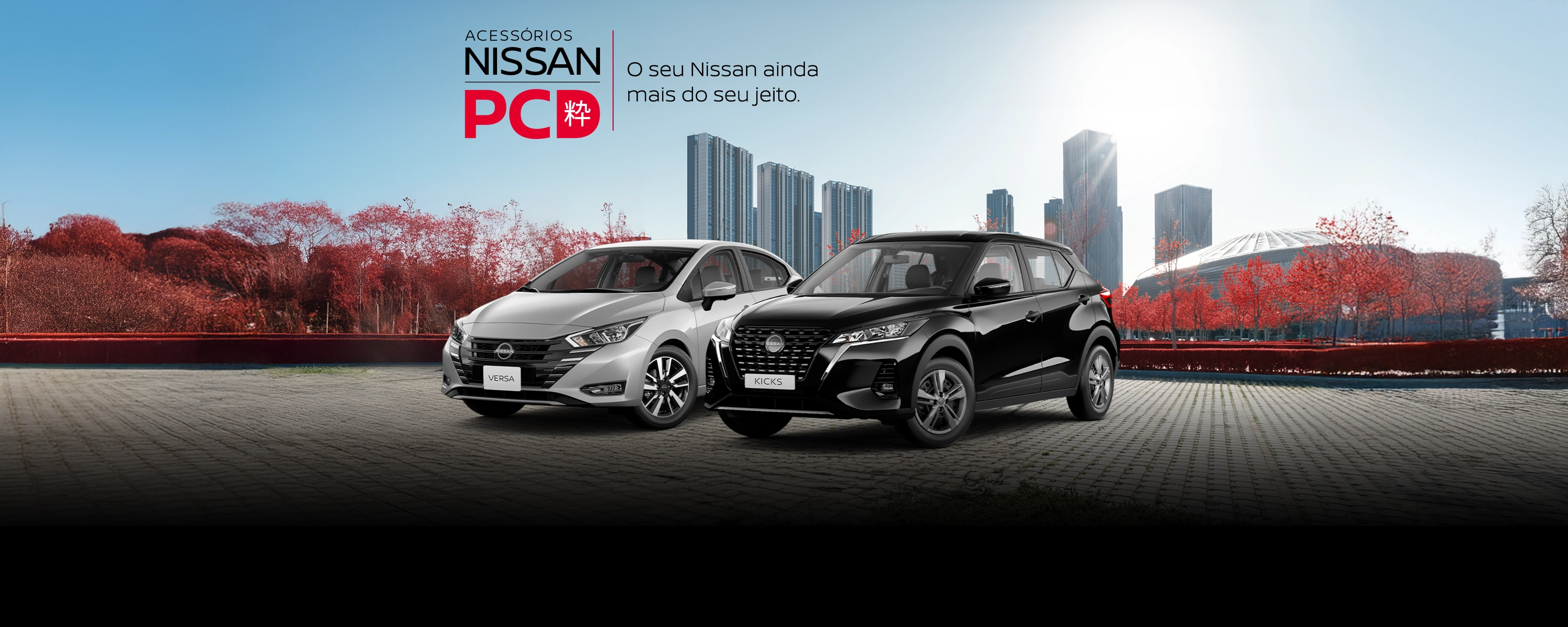 Acessórios Nissan