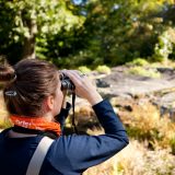 A visitor scouting for birds with binoculars.