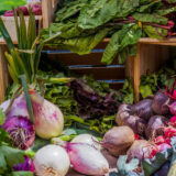 A selection of summer vegetables