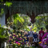 Looking out from the sala pavilion toward a crowd of guests.