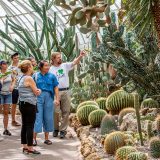 Students learning in the Conservatory