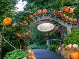 ECAG entrance during fall with pumpkins all around