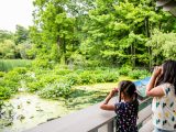 2 girls looking out into the wetlands with binoculars