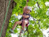 Girl tree climbing with harness