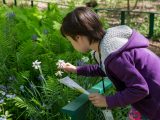 Student studying a white flower