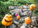 Children playing and looking at the many pumpkins around them