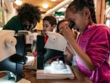 Girl looking into a microscope