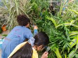 2 girls looking at leaves with a magnifying glass