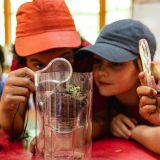 Children investigating a plant with a microscope