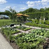 The African American Garden in the New York Botanical Garden, filled with vegetation.