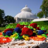 Crocheted art on a table in front of a conservatory by Ruth Marshal.